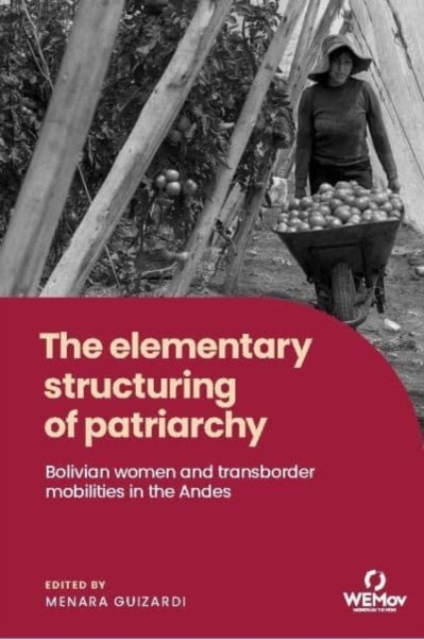 The Elementary Structuring of Patriarchy : Bolivian Women and Transborder Mobilities in the Andes, Hardback Book