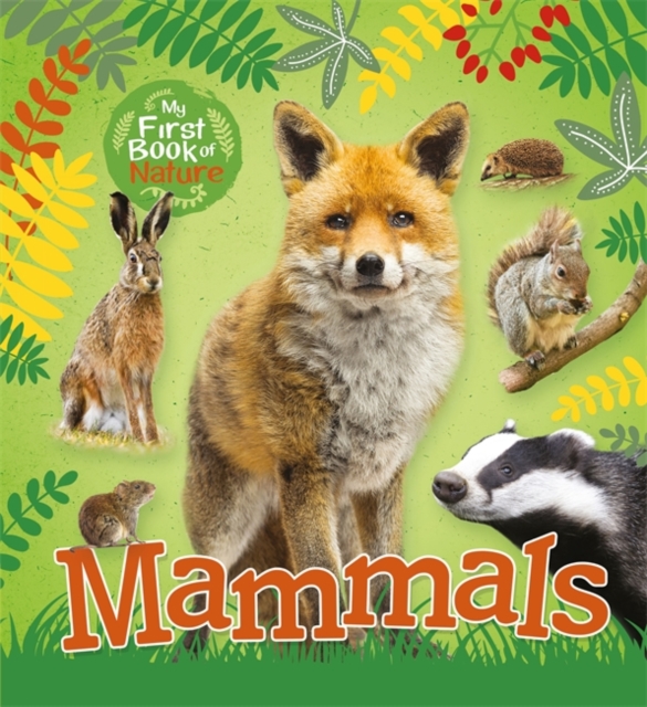 My First Book of Nature: Mammals, Paperback / softback Book