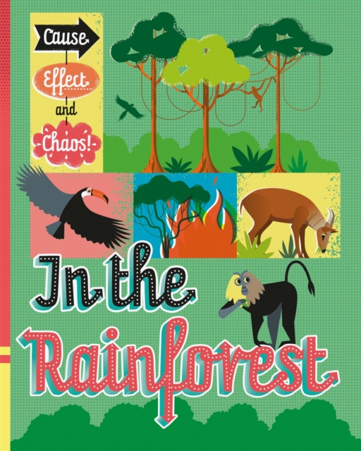 Cause, Effect and Chaos!: In the Rainforest, Hardback Book