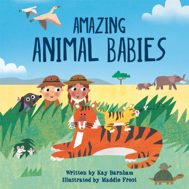 Look and Wonder: Amazing Animal Babies, Hardback Book