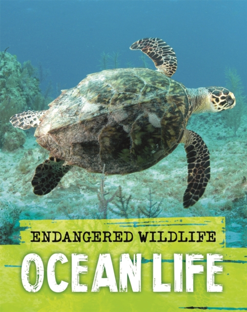 Endangered Wildlife: Rescuing Ocean Life, Paperback / softback Book