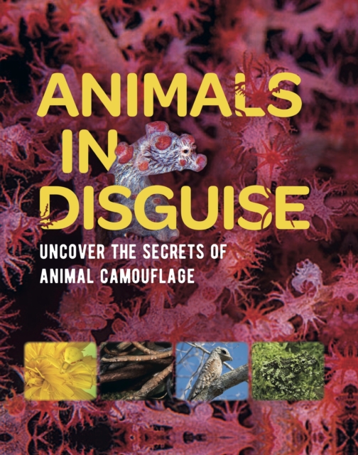 Animals in Disguise, EPUB eBook