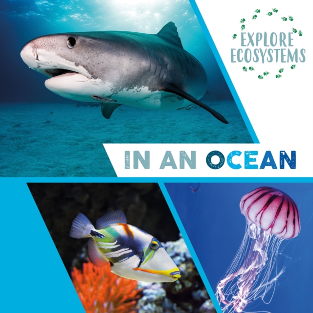 Explore Ecosystems: In an Ocean, Hardback Book