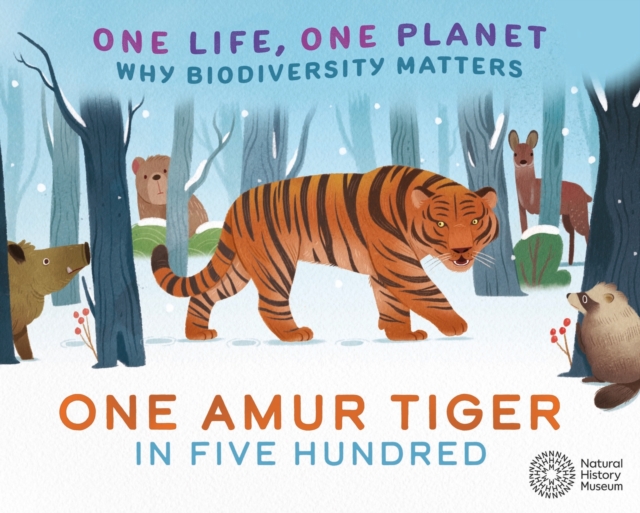 One Life, One Planet: One Amur Tiger in Five Hundred : Why Biodiversity Matters, Hardback Book