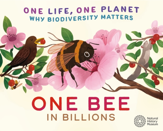 One Life, One Planet: One Bee in Billions : Why Biodiversity Matters, Hardback Book