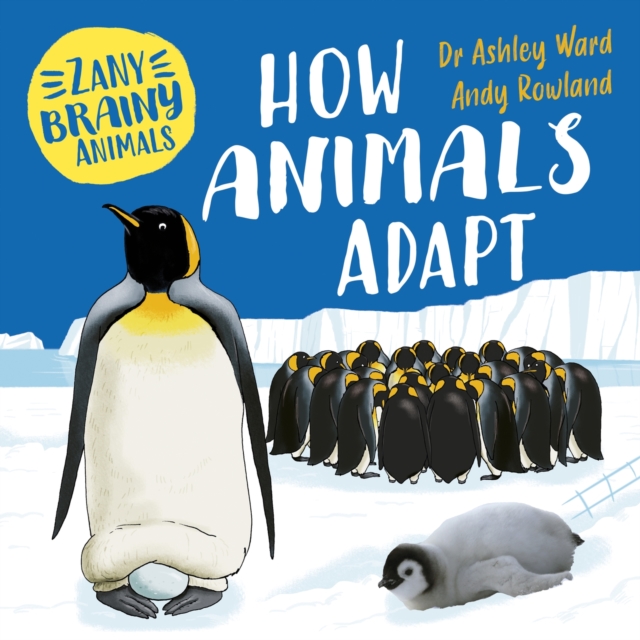 Zany Brainy Animals: How Animals Adapt, Hardback Book