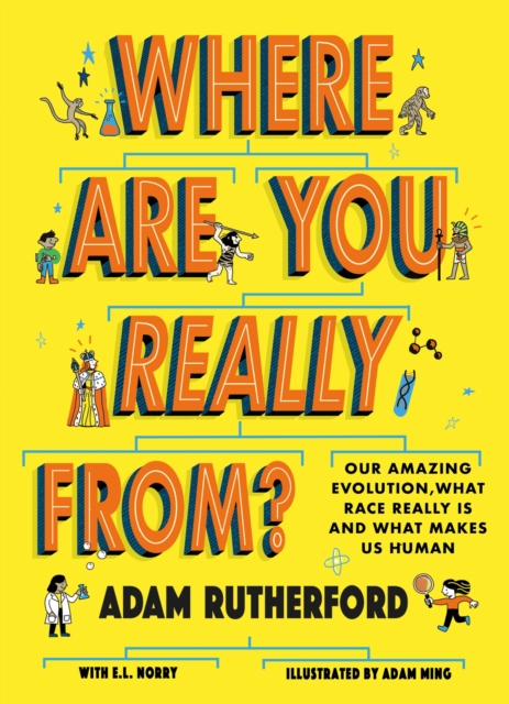 Where Are You Really From? : Our amazing evolution, what race really is and what makes us human, Paperback / softback Book