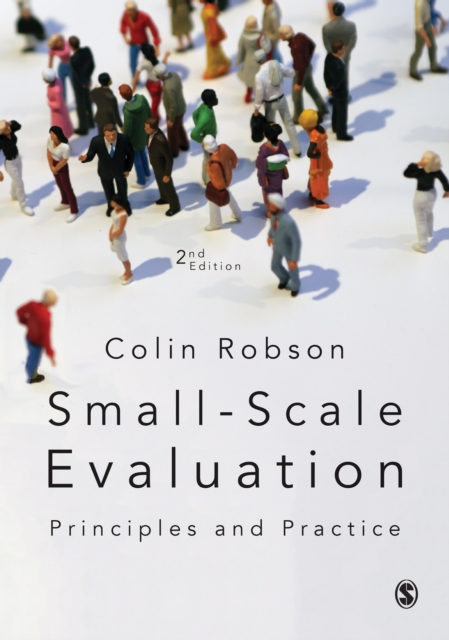 Small-Scale Evaluation : Principles and Practice, EPUB eBook