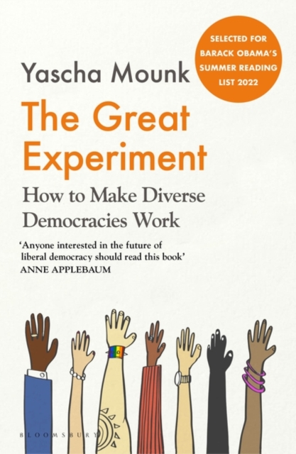 The Great Experiment : How to Make Diverse Democracies Work, Paperback / softback Book