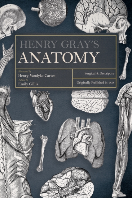Henry Gray's Anatomy : Surgical and Descriptive, EPUB eBook