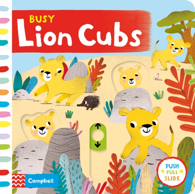 Busy Lion Cubs, Board book Book