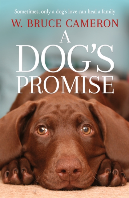 A Dog's Promise, Paperback / softback Book