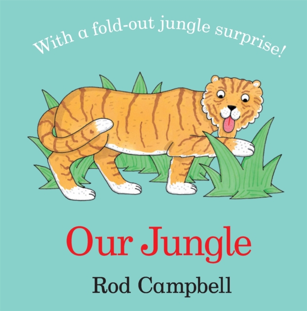 Our Jungle, Board book Book