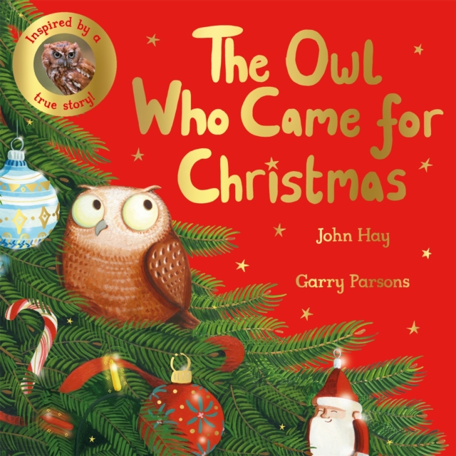 The Owl Who Came for Christmas, Paperback / softback Book