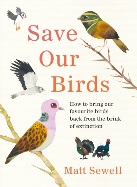 Save Our Birds : How to bring our favourite birds back from the brink of extinction, Hardback Book
