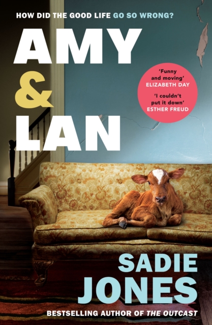 Amy and Lan : The enchanting new novel from the Sunday Times bestselling author of The Outcast, Paperback / softback Book