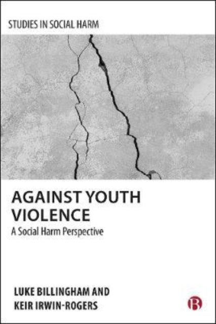 Against Youth Violence : A Social Harm Perspective, Paperback / softback Book