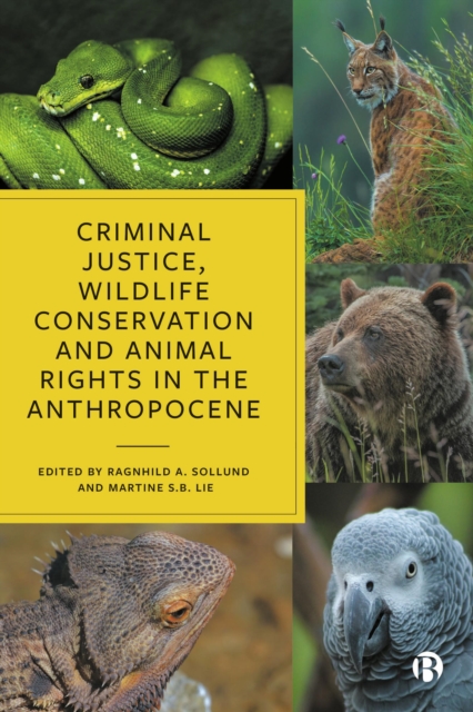 Criminal Justice, Wildlife Conservation and Animal Rights in the Anthropocene, PDF eBook