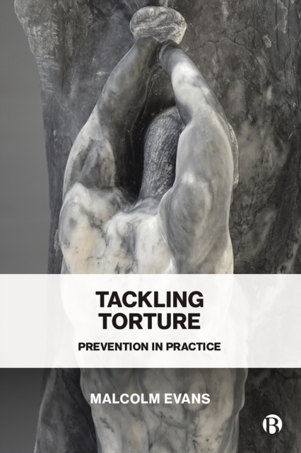 Tackling Torture : Prevention in Practice, PDF eBook