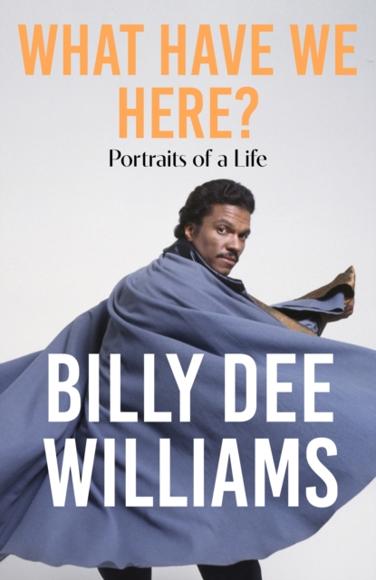 What Have We Here : Portraits of a Life, EPUB eBook
