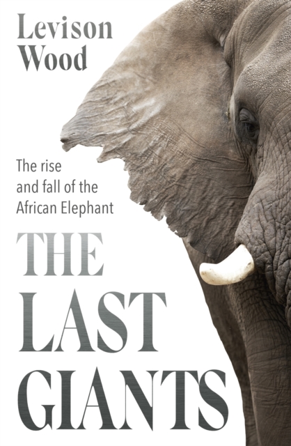 The Last Giants : The Rise and Fall of the African Elephant, Paperback Book