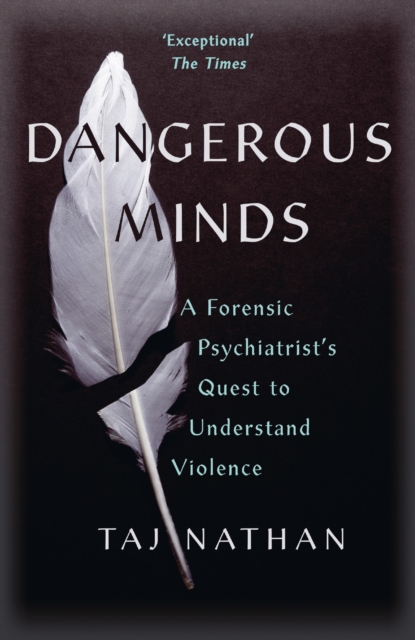 Dangerous Minds : A Forensic Psychiatrist's Quest to Understand Violence, Paperback / softback Book