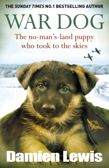 War Dog : The no-man's-land puppy who took to the skies, EPUB eBook