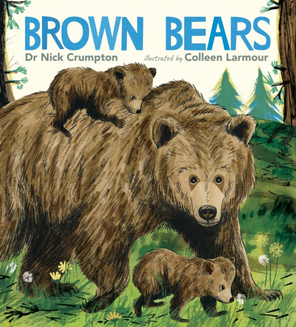 Brown Bears, Hardback Book