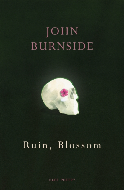 Ruin, Blossom, Paperback / softback Book