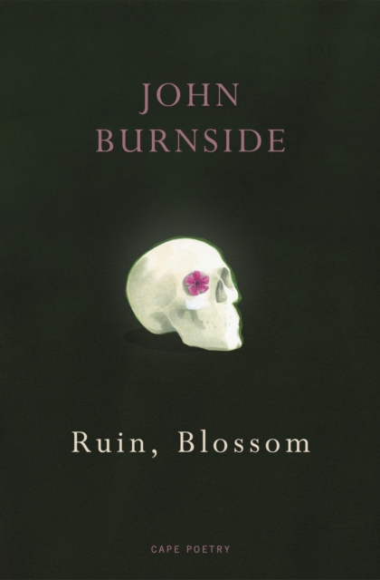 Ruin, Blossom, EPUB eBook