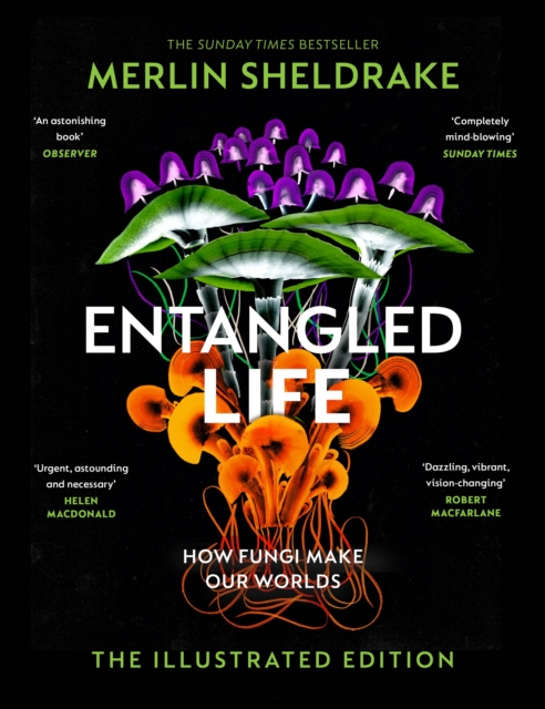 Entangled Life (The Illustrated Edition) : A beautiful new edition of the Sunday Times bestseller featuring 100 illustrations, EPUB eBook