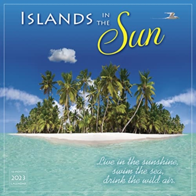 ISLANDS IN THE SUN, Paperback Book