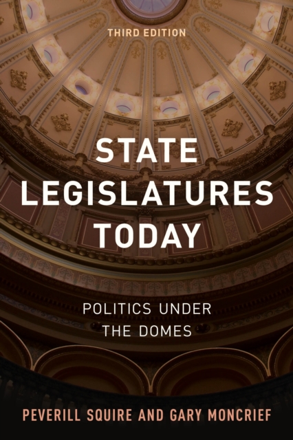 State Legislatures Today : Politics under the Domes, Paperback / softback Book