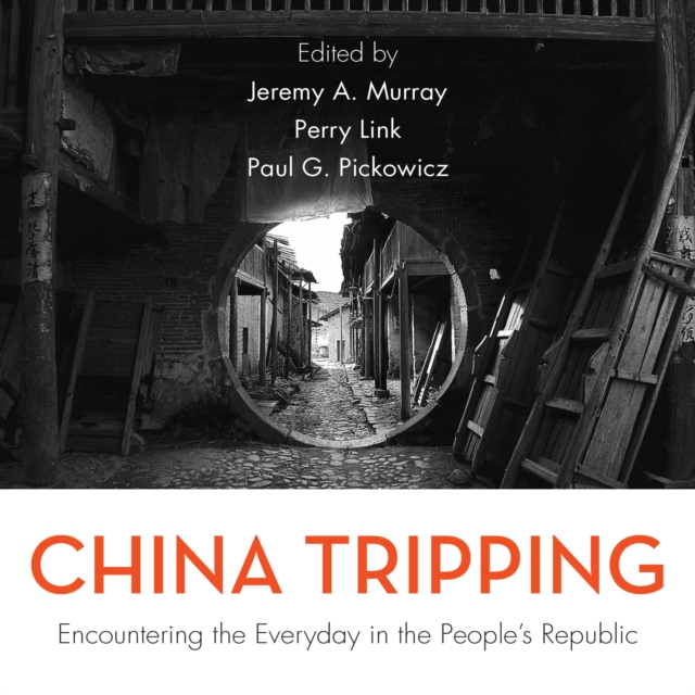 China Tripping : Encountering the Everyday in the People's Republic, Downloadable audio file Book