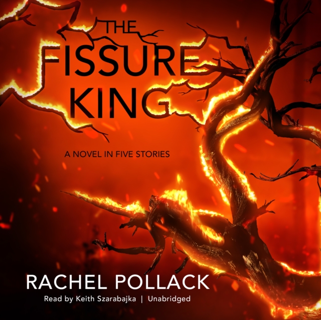 The Fissure King, eAudiobook MP3 eaudioBook
