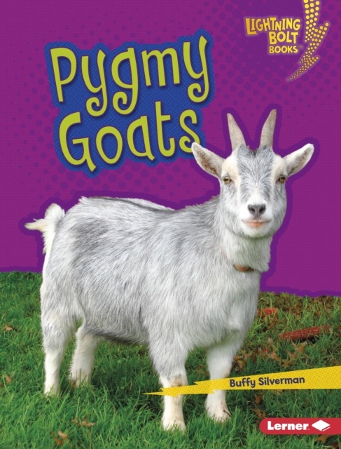 Pygmy Goats, EPUB eBook