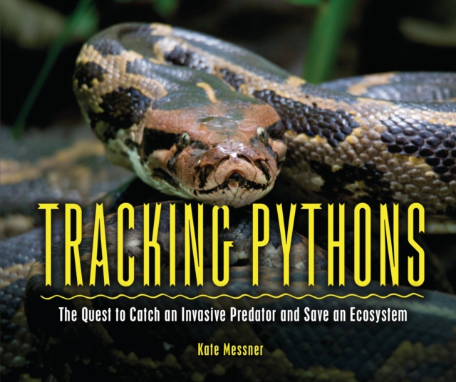 Tracking Pythons : The Quest to Catch an Invasive Predator and Save an Ecosystem, PDF eBook