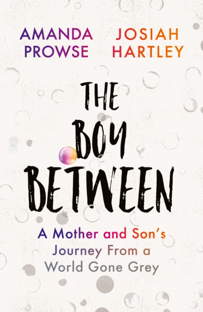 The Boy Between : A Mother and Son’s Journey From a World Gone Grey, Paperback / softback Book
