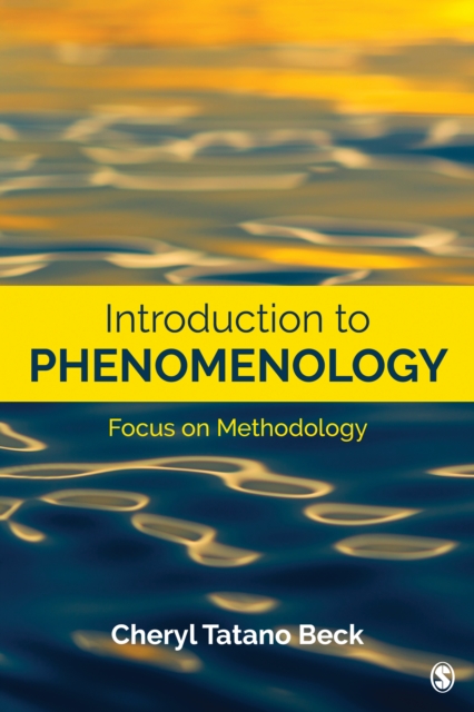 Introduction to Phenomenology : Focus on Methodology, Paperback / softback Book