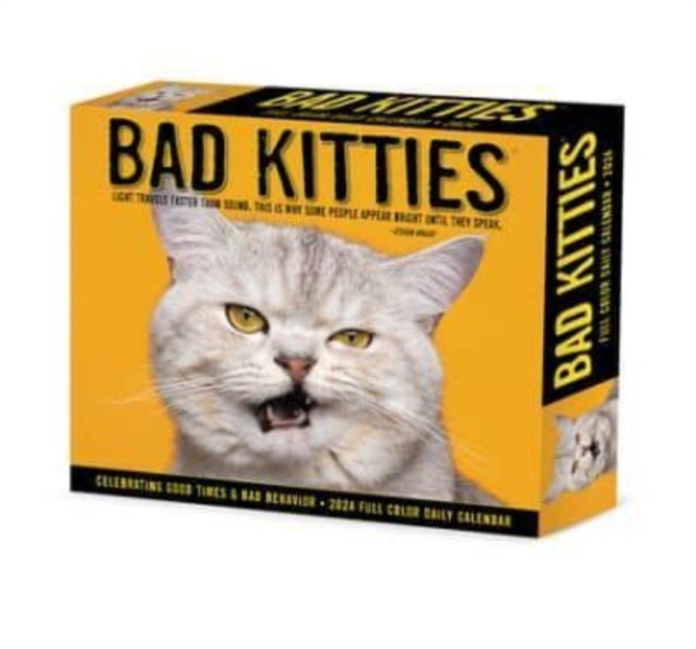 Bad Kitties 2024 6.2 X 5.4 Box Calendar, Calendar Book
