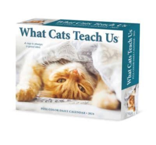 What Cats Teach Us 2024 6.2 X 5.4 Box Calendar, Calendar Book