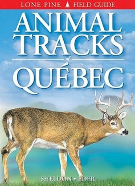 Animal Tracks of Quebec, Paperback / softback Book Animal Tracks of Quebec, Paperback / softback Book