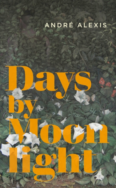 Days by Moonlight, Paperback / softback Book