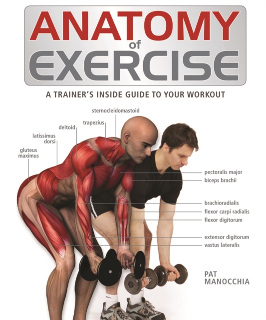 Anatomy of Exercise : A Trainer's Inside Guide to Your Workout, Paperback / softback Book