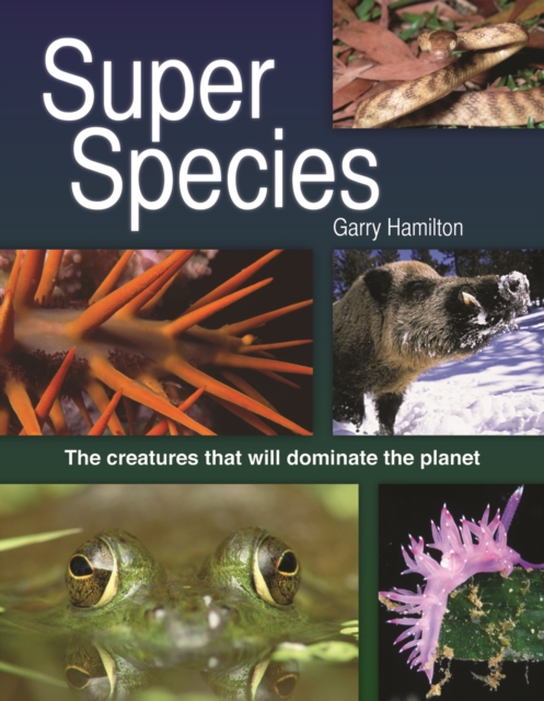 Super Species : The Creatures That Will Dominate the Planet, Hardback Book