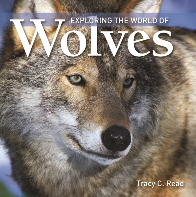 Exploring the World of Wolves, Paperback / softback Book