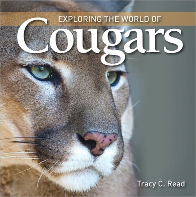 Exploring the World of Cougars, Hardback Book