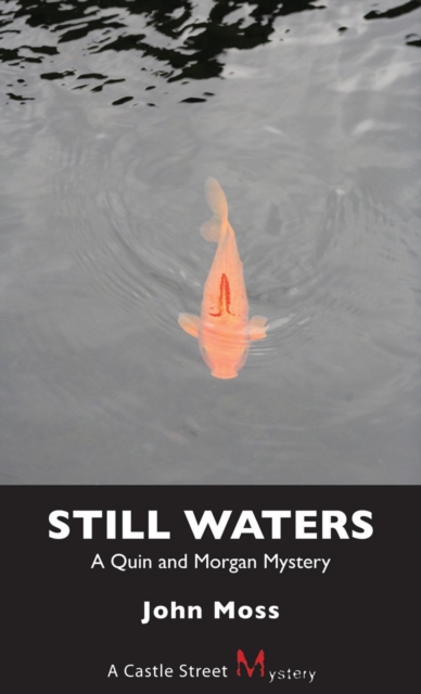 Still Waters : A Quin and Morgan Mystery, EPUB eBook