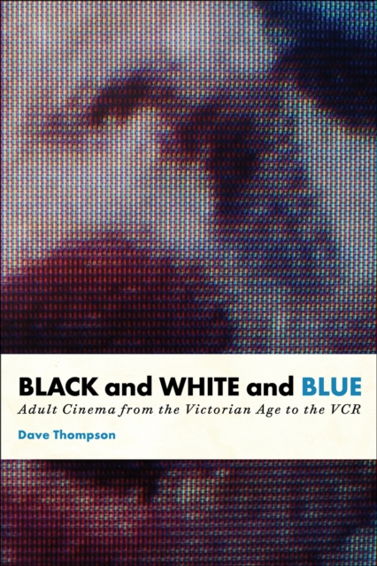 Black And White And Blue : Adult Cinema from the Victorian Age to the VCR, PDF eBook