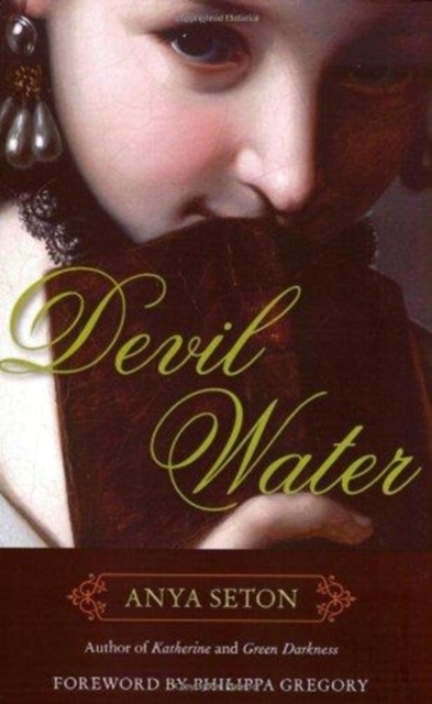 Devil Water, Hardback Book